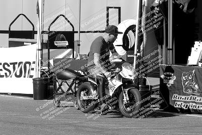 media/Oct-06-2023-Apex Assassins (Fri) [[5cb57a08ab]]/Around the Pits/